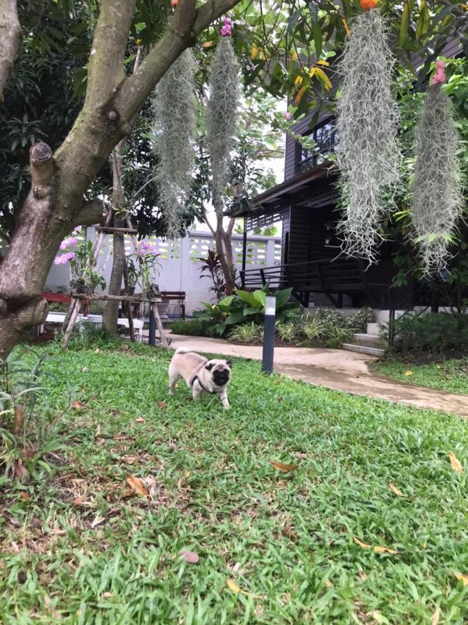 Baansuanklaiklungbangkrachao บ้านสวนใกล้กรุงบางกะเจ้า Phra Pradaeng Exteriér fotografie